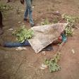 The body of the murdered girl