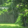 Rainfall