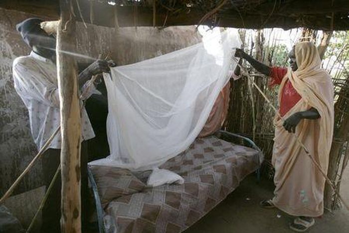 U.S. charges Burkina Faso man with fraud over bogus malaria nets