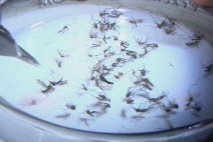 Zika may have been sexually transmitted in 14 cases -U.S. CDC