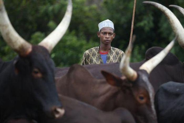 Armed men kill 12 in Central African Republic