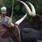 Armed men kill 12 in Central African Republic