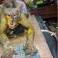 See shocking pictures of Monkey doused with acid