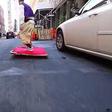 Watch Real life Aladdin glides down the street in a 'flying carpet'