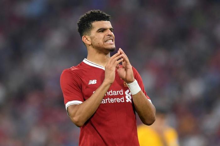 Dominic Solanke found chances limited at Liverpool