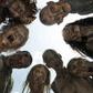 Man kills his friend after watching Walking Dead