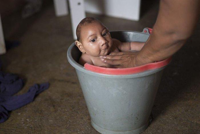 WHO sees Zika outbreak spreading through the Americas