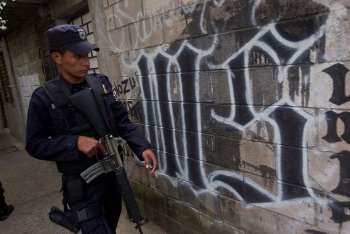 In this March 7, 2014 file photo, a member of the Salvadoran National Police walks next to graffiti of the Mara Salvatrucha gang painted on a wall.