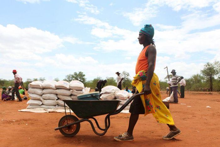 A villager uses a wheelbarrow to collect a monthly food ration provided by the United Nations World Food Programme (WFP) in Masvingo, Zimbabwe, January 25, 2016. REUTERS/Philimon Bulawayo
