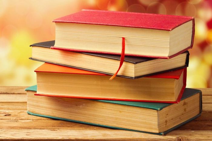 7 Great books Nigerians should read this month