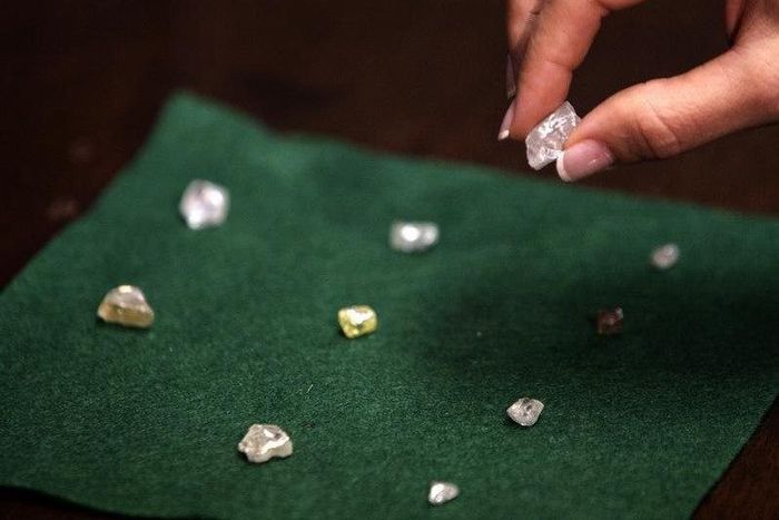 A visitor holds a 17 carat diamond at a Petra Diamonds mine in Cullinan, outside Pretoria, in a file photo. REUTERS/Siphiwe Sibeko