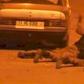 Two Austrians have been kidnapped in Northern Burkina Faso
