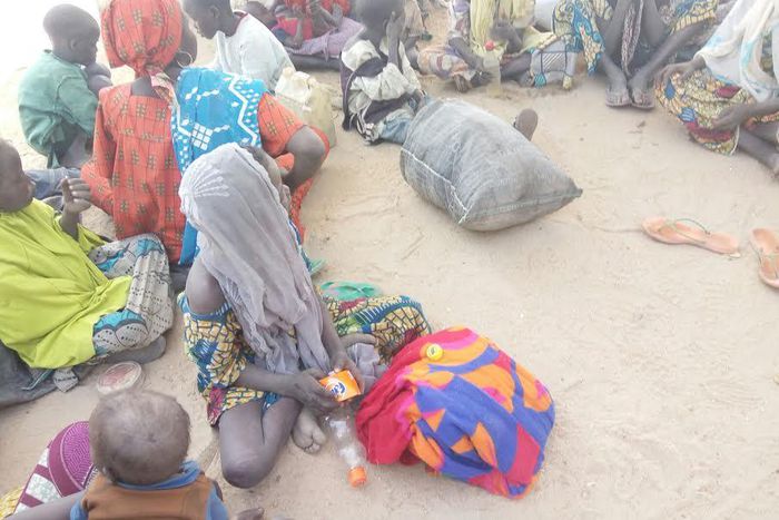 Troops kill 50 terrorists in Borno, rescue 500 women, children.
