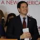 Marco Rubio emerges as champion of battered Republican establishment