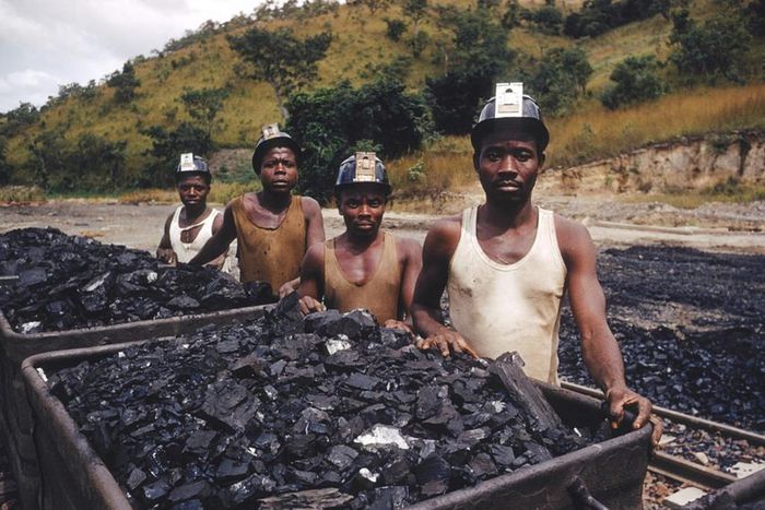 FG to void about 1,500 unused licenses