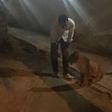 3 arrested after pet lion escaped prowling the streets for several hours.