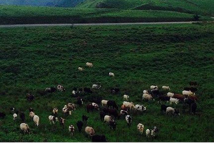 ___4307162___https:______static.pulse.com.gh___webservice___escenic___binary___4307162___2015___10___29___17___Screenshot_2015-10-29-15-13-49