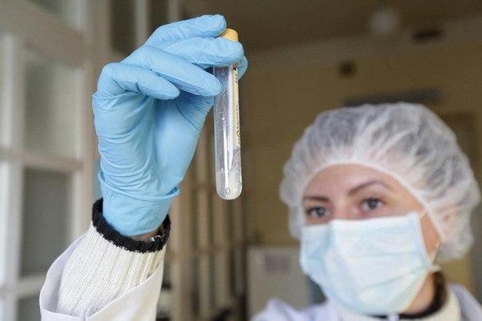 H1N1 swine flu kills 18 in Armenia, three in Georgia - officials