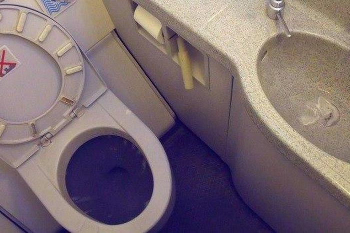 Woman severely injured after big block of poo fell from a plane