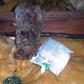 Rat poisons are in high demand in Abuja following the outbreak of Lassa Fever