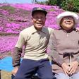 Husband spends 2 years planting beautiful flowers for blind wife