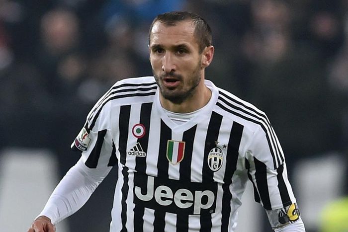 ___4605373___https:______static.pulse.com.gh___webservice___escenic___binary___4605373___2016___1___26___4___chiellini-cropped_cy3aibv9rgqe1aa5q3fqmdt7n_1