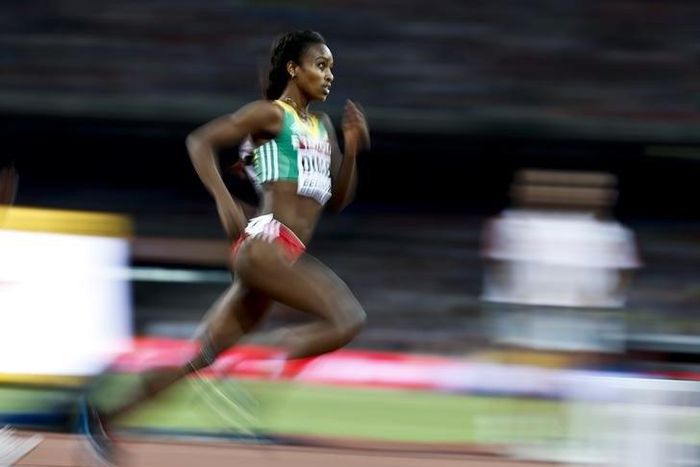 Genzebe Dibaba of Ethiopia competes in the women's 1500m semi-final during the 15th IAAF World Championships at the National Stadium in Beijing, China August 23, 2015. REUTERS/Lucy Nicholson
