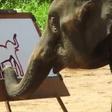 Elephant goes viral after painting a self-portrait