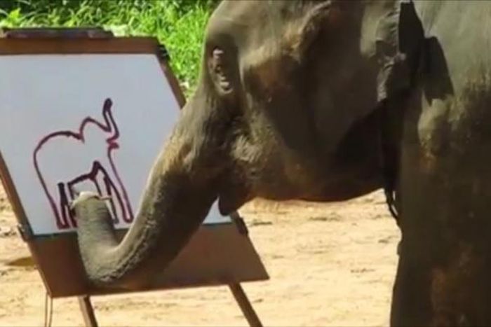 Elephant goes viral after painting a self-portrait