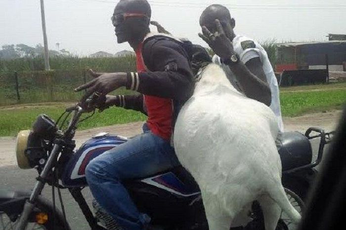 ___4671591___https:______static.pulse.com.gh___webservice___escenic___binary___4671591___2016___2___10___16___Photo-Speak-Ram