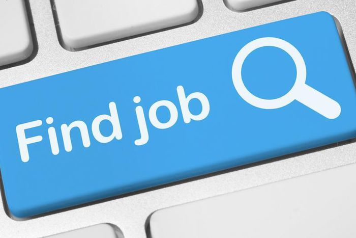 What kind of job are you searching for?