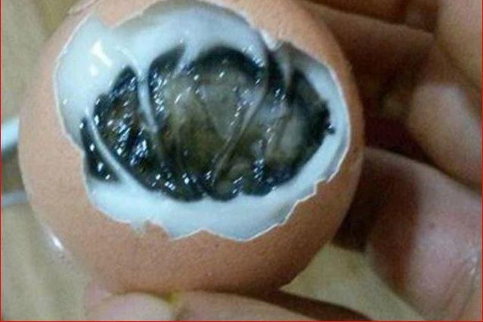 Dead chicken found inside boiled egg