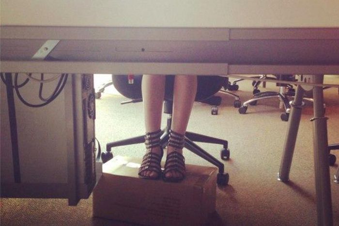 10 funny pictures that would make tall people laugh too much