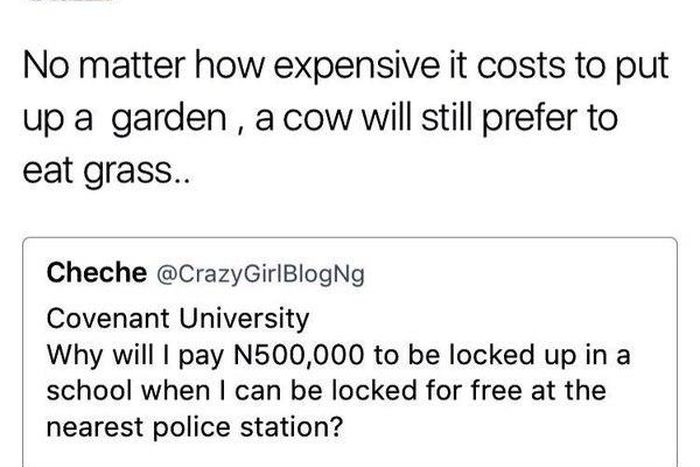 10 Nigerians you should feel sorry for on Twitter