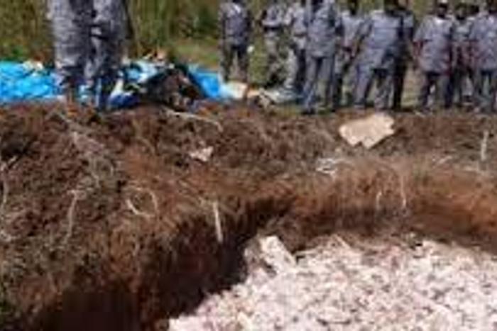 Customs destroys poultry products worth N15m in Edo