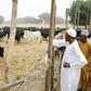 Katsina in northern Nigeria is the home state of President Muhammadu Buhari