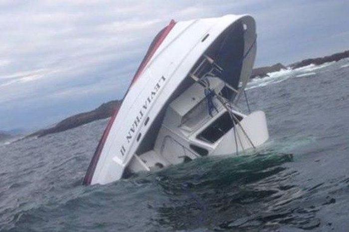 Canadian whale-watching boat sinks, killing five with one missing