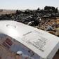 The remains of a Russian airliner are inspected by military investigators at the crashÂ site at the al-Hasanah area in El Arish city, north Egypt, November 1, 2015.  REUTERS/Mohamed Abd El Ghany