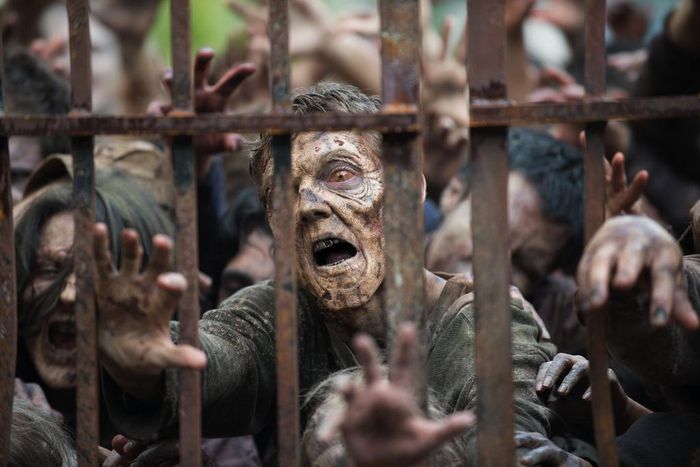 Police respond to panicked call only to discover family was watching 'Walking Dead'