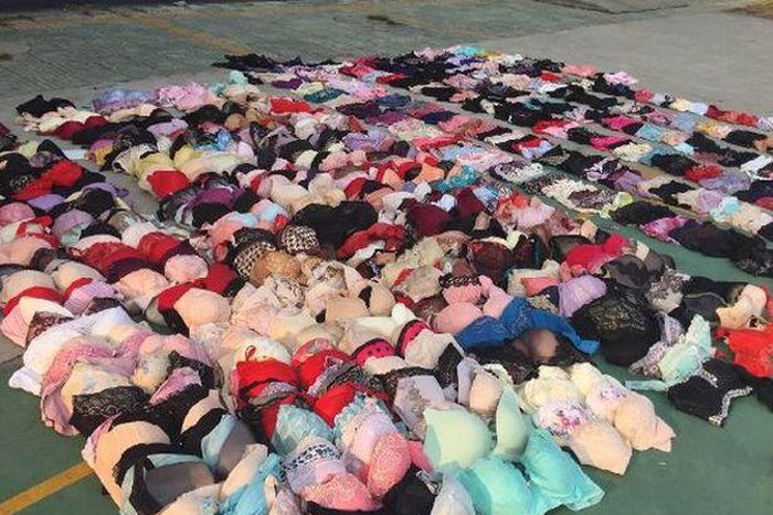 32-year old man uses fishing rod to steal 285 bras and 185 panties from unsuspecting women