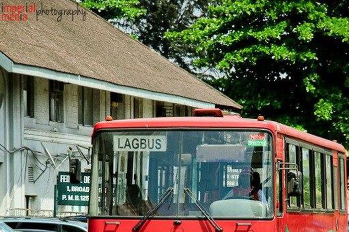 LAGBUS