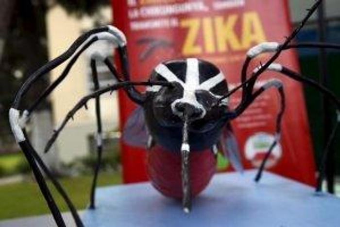 U.S. firm says experimental Zika vaccine works in mice