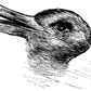 ___4692204___https:______static.pulse.com.gh___webservice___escenic___binary___4692204___2016___2___16___11___duck+or+rabbit
