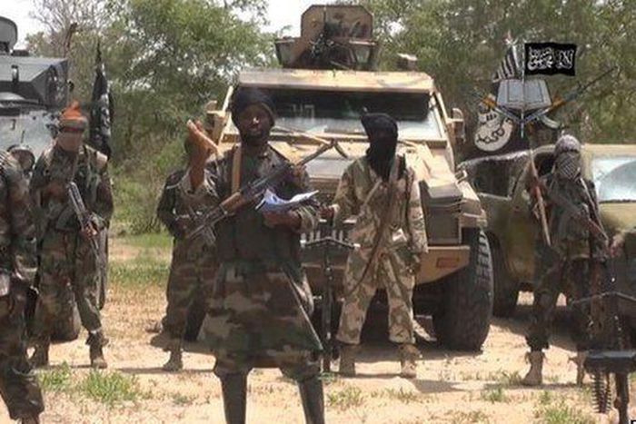 Islamist militants kill eight villagers in Cameroon