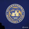 Visitors are silhouetted against the logo of the International Monetary Fund at the main venue for the IMF and World Bank annual meeting in Tokyo October 10, 2012. REUTERS/Kim Kyung-Hoon