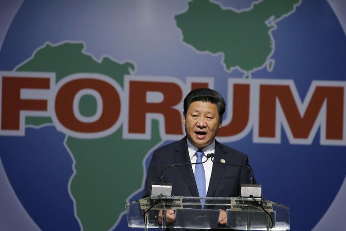 China's Xi cheers African leaders with pledge of $60 bln development aid