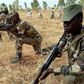 Soldiers kill 100 terrorists in Yobe