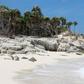 ___4699457___https:______static.pulse.com.gh___webservice___escenic___binary___4699457___2016___2___17___19___grace-bay-providenciales-turks-and-caicos