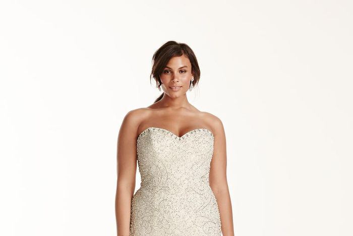 Embellished Fit-and-Flare Plus Size Wedding Dress