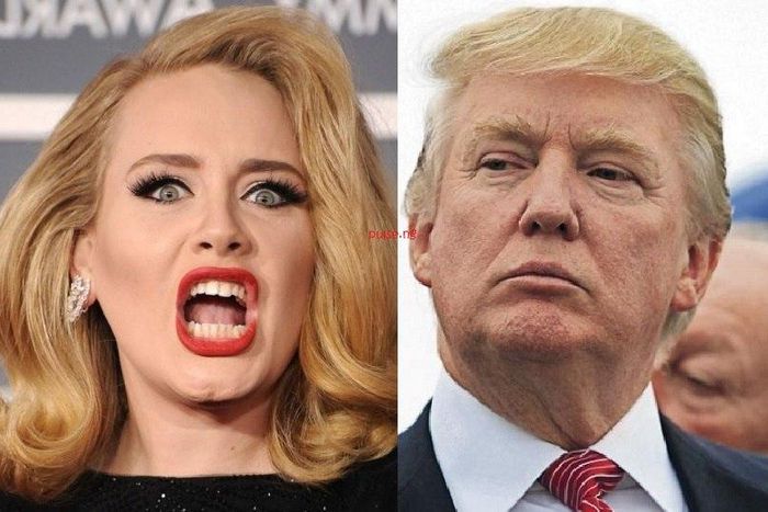 Adele warns Donald Trump